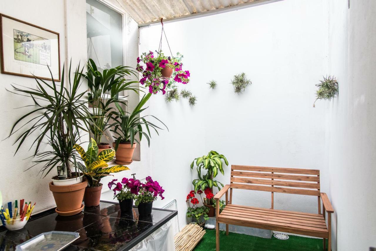 Cosy Flat In City Center Понта Делгада Екстериор снимка